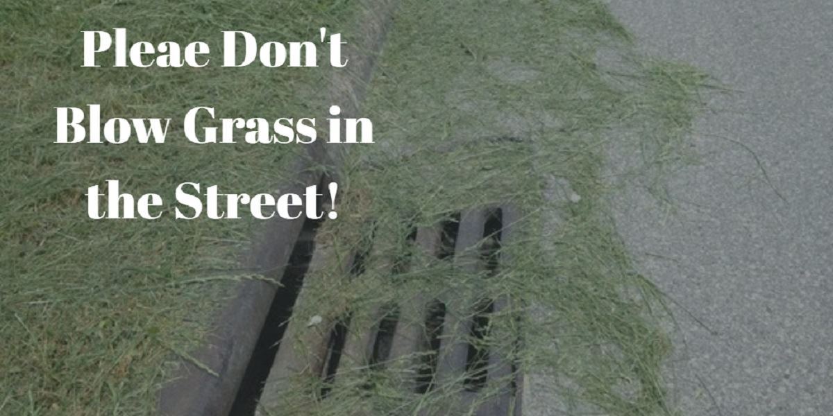 grassinstreet-fb (JPG)