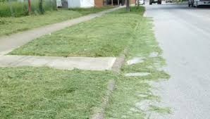 grass clippings in streets