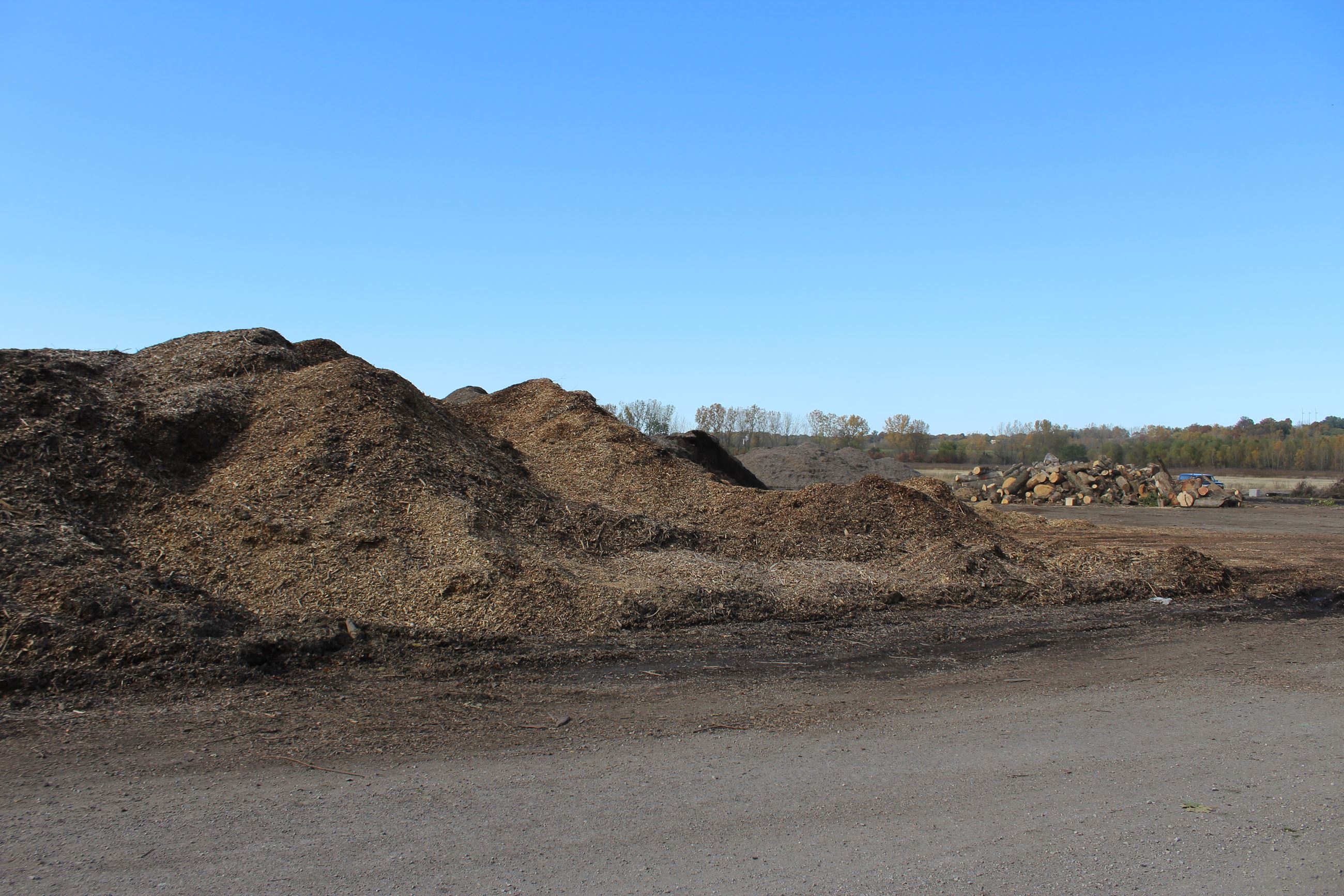 Compost and firewood free to all 001 (JPG)