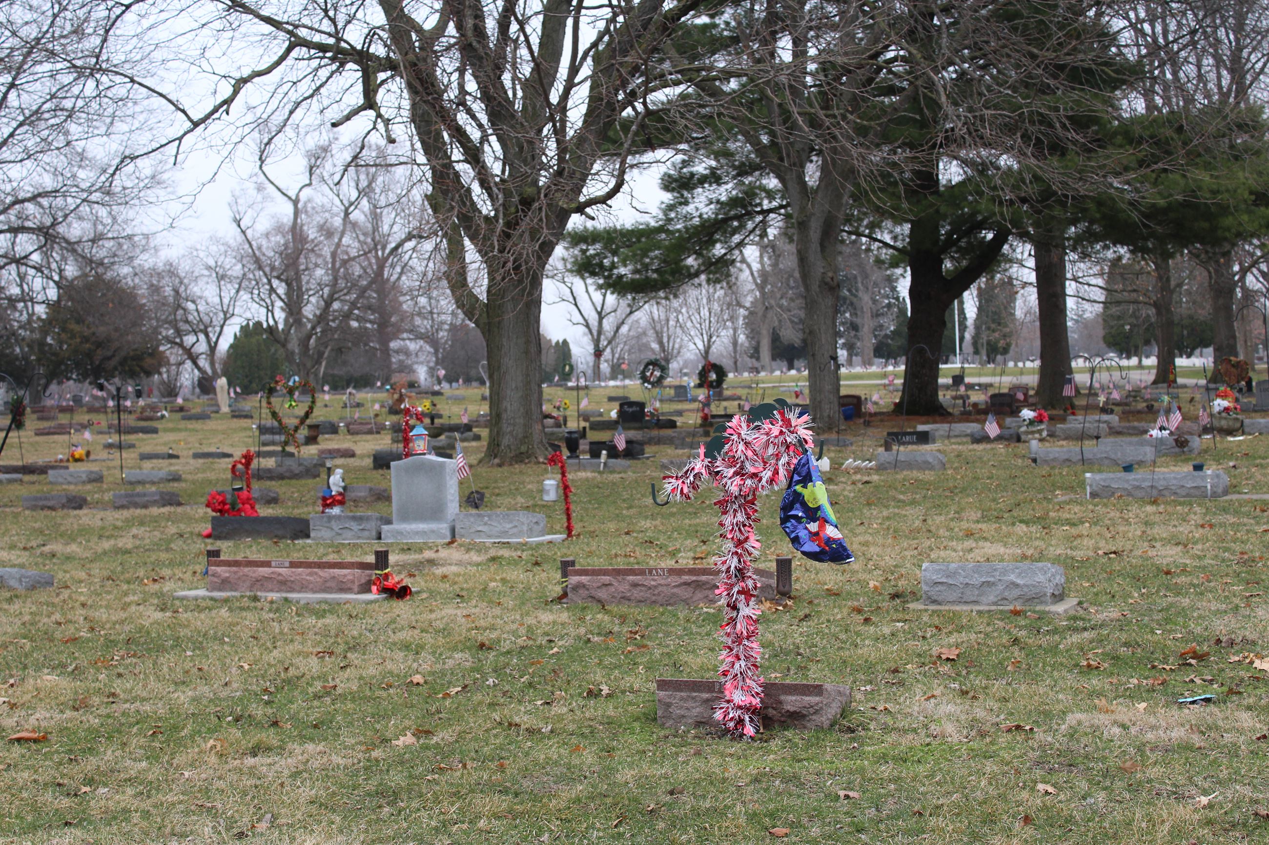 031621 Greenwood Cemetery Cleanup (JPG)