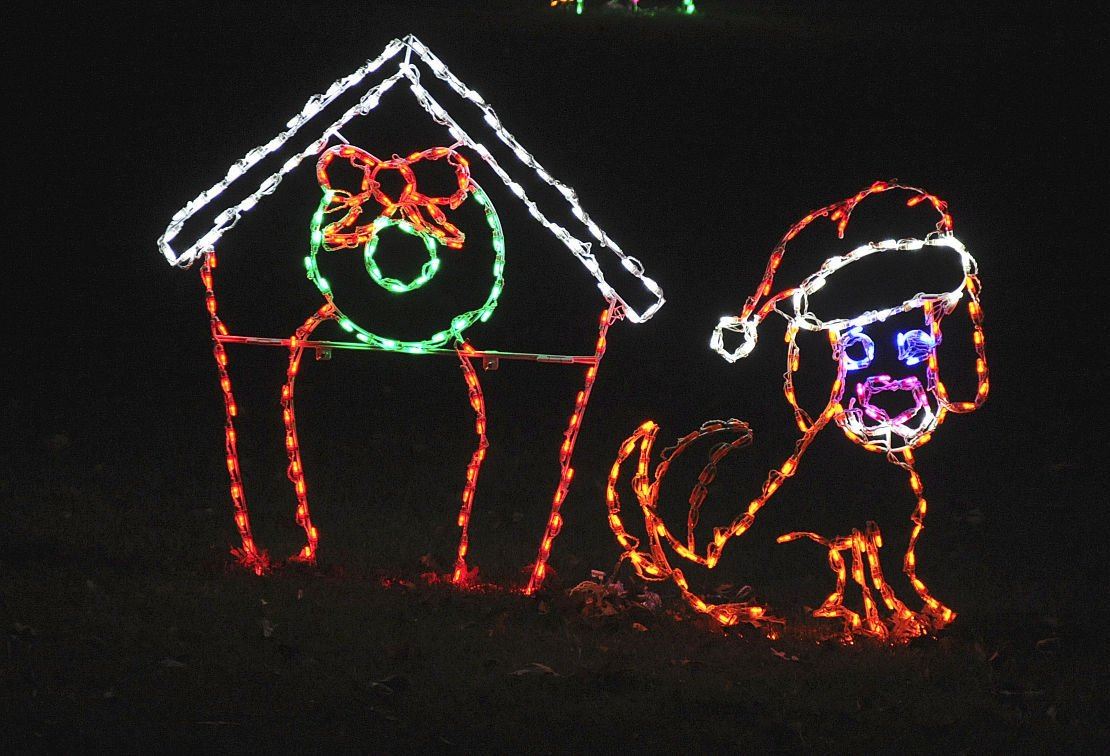 Festival of Lights Preview (JPG)