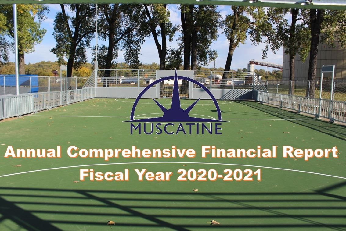 ACFR 2020-2021 Graphic (JPG)