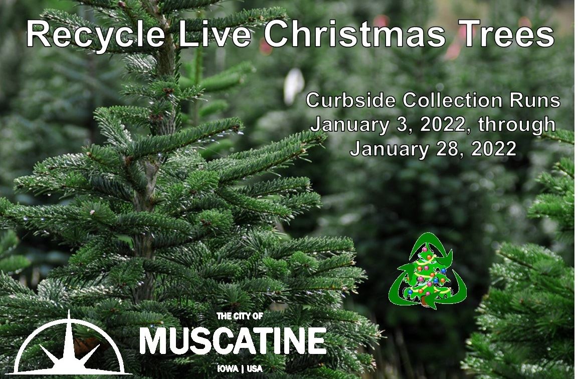 2022 Christmas Tree Recycling (JPG)