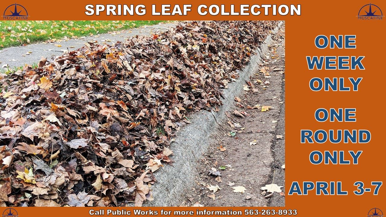 Spring Leaf Collection 2023
