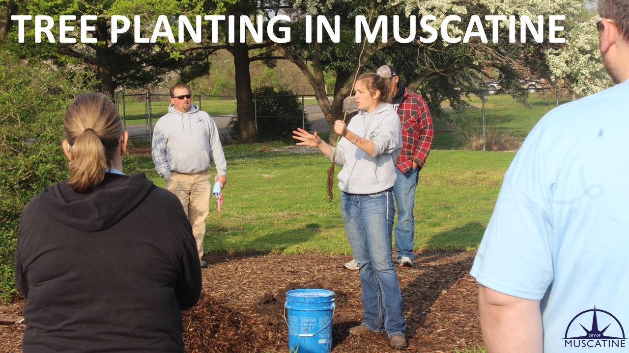 Tree Planting In Muscatine (JPG) August 30, 2023