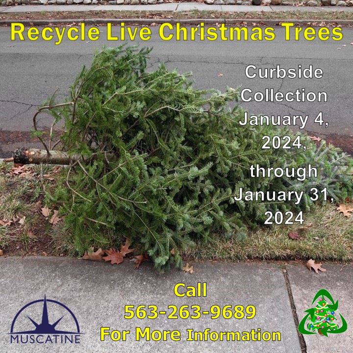 2024 Christmas Tree Recycling Promo (JPG)