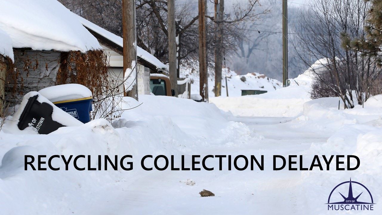 Recycling Delayed (JPG) - Alley 01-19-24