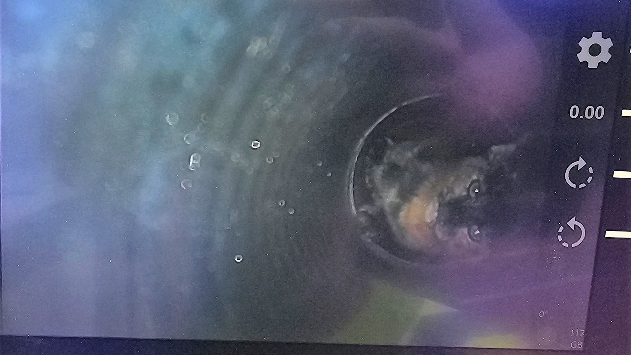 Video image of kitten in drain (JPG) 061224 