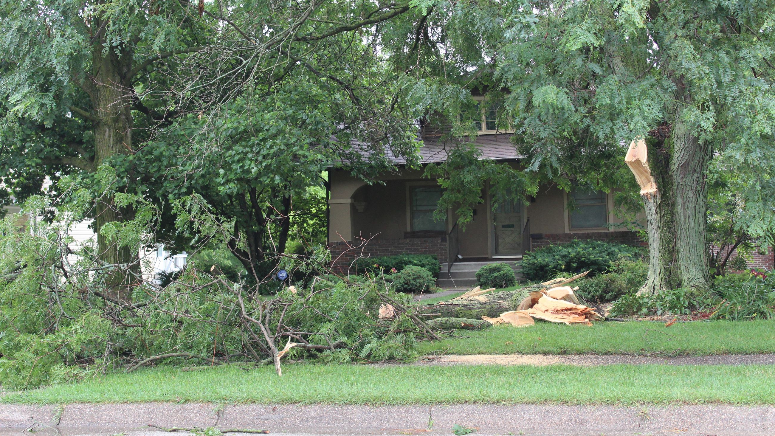 062624 Storm Damage showing broken limb and tree (JPG)