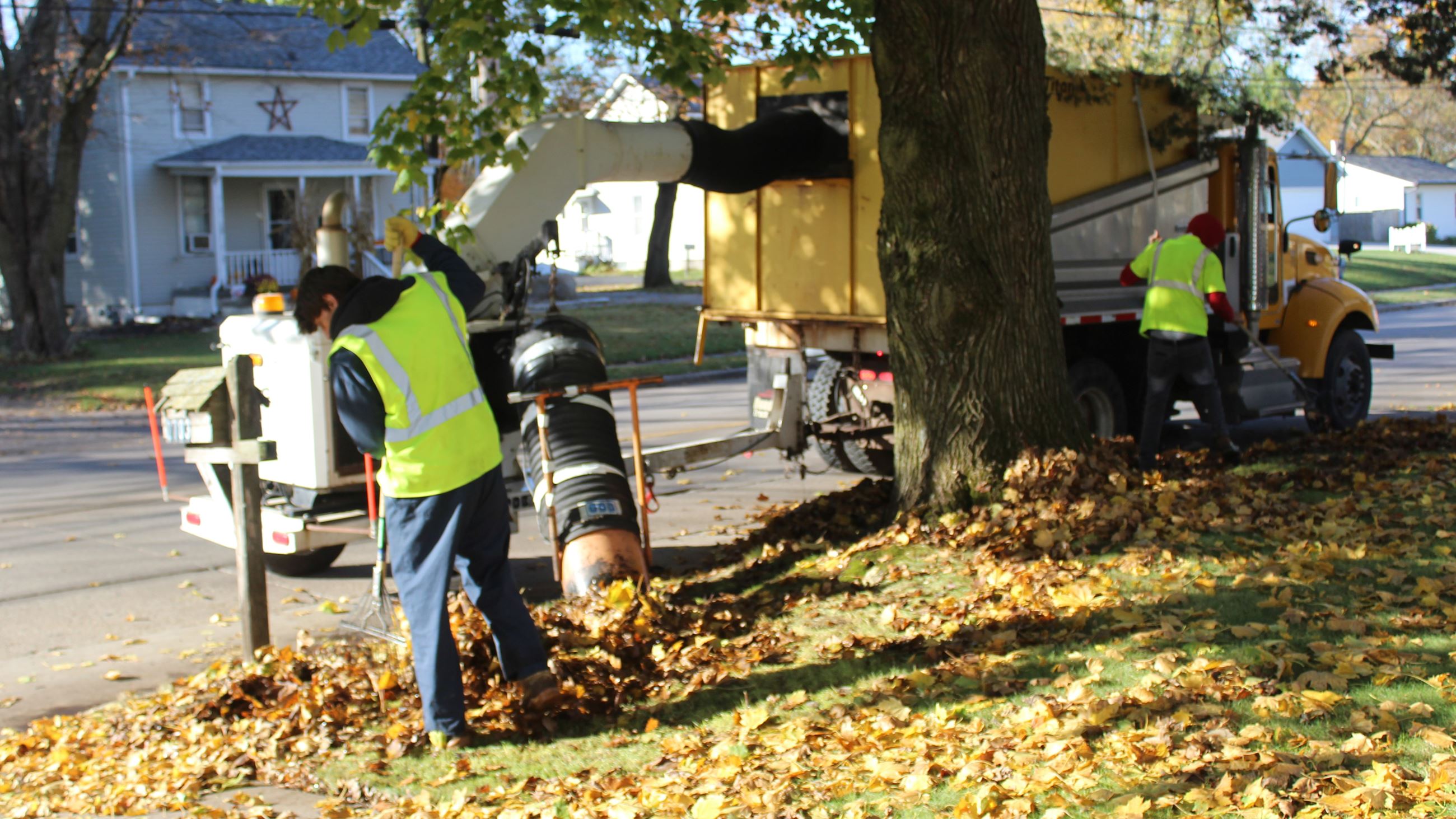 Leaf Collection Program working to collect leaves on Lucas Street in Zone 3 (JPG)