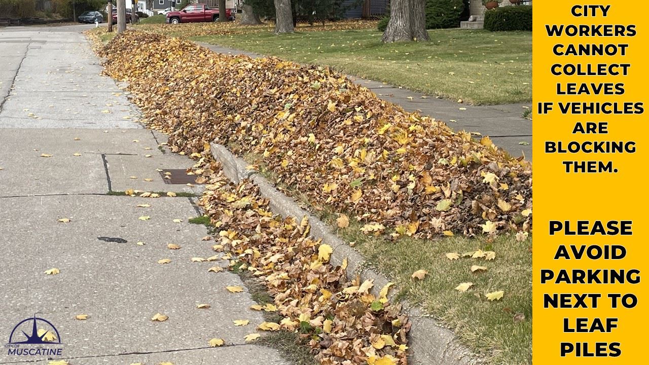 Pile of leaves at curb urging drivers not to park in front of them (JPG)