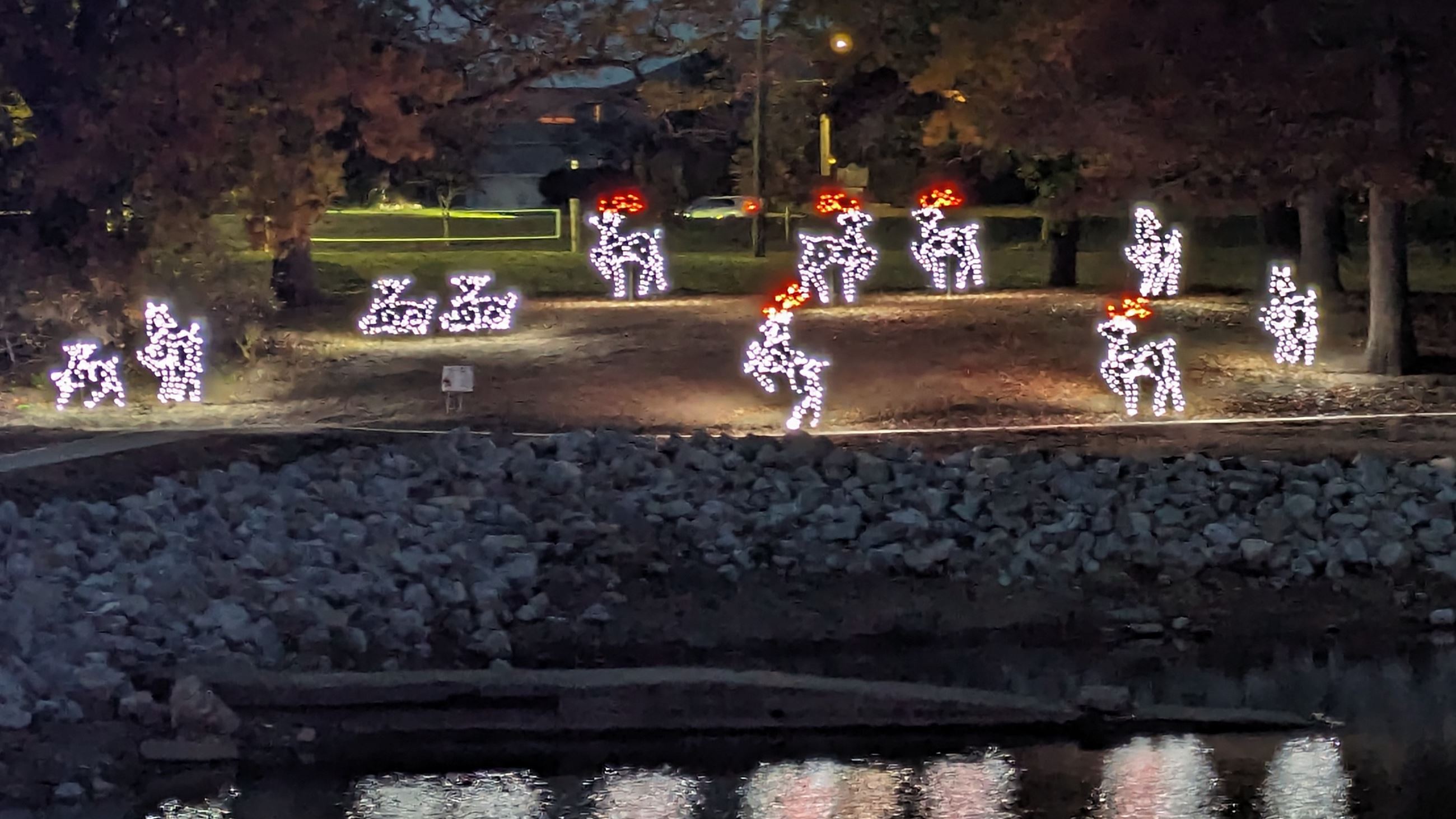 iLLUMINATE Reindeer 2024 (JPG)